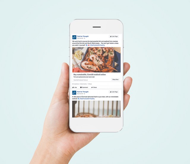 Fish For Thought Social Media Advertising Our Work Image