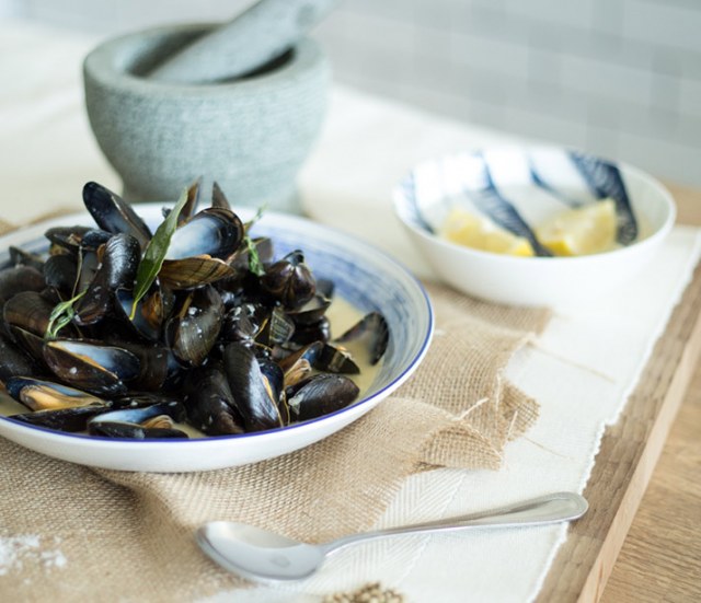 Fish For Thought Our Work Image