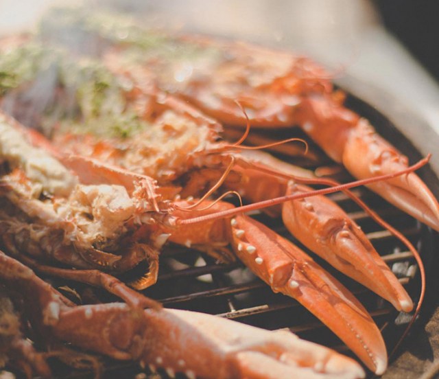 Food Photography Our Work Image