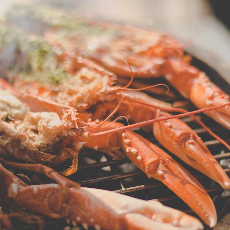 Food Photography Our Work Image