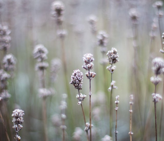 Lifestyle Photography Our Work Image