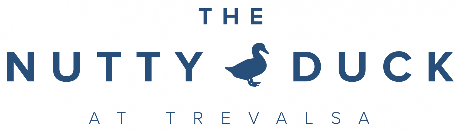 The-Nutty-Duck-Logo-Case-Study-Idenna-Creative