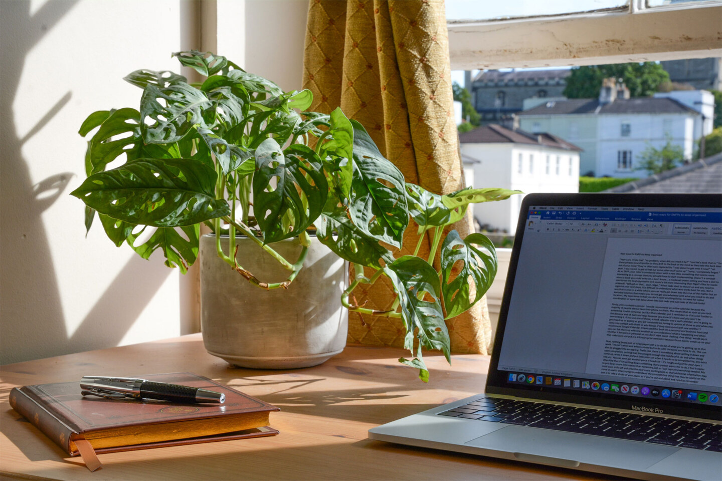 Desk with laptop and plant