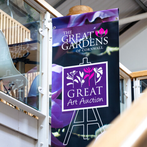 Image Not Found On Media Library