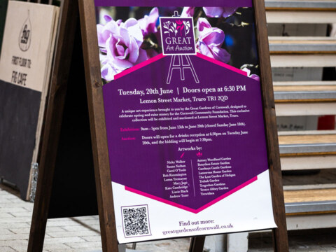 Image Not Found On Media Library